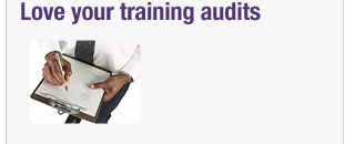 Love your training audits